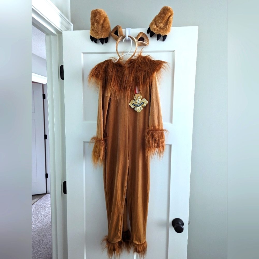 Cozy Lion Costume for Kids with Mane and Ears